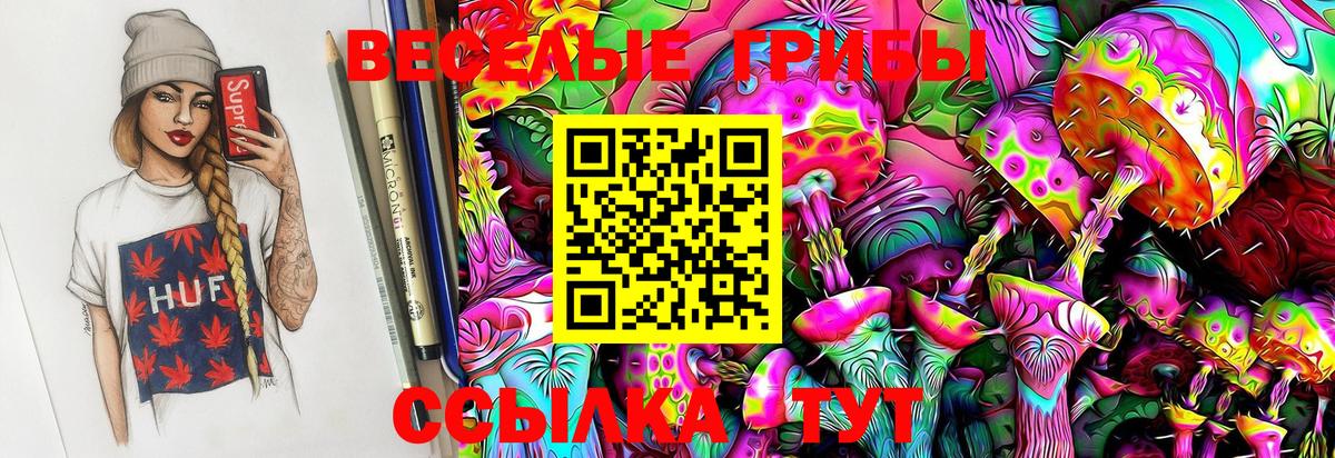 Псилоцибиновые грибы Psilocybine cubensis Тимашёвск