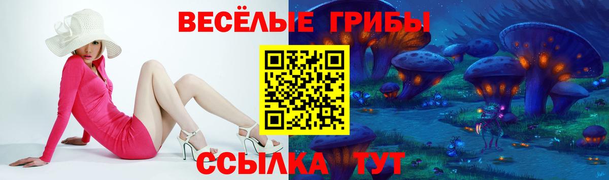 Галлюциногенные грибы мицелий  Галлюциногенные грибы MAGIC MUSHROOMS  Вход с VPN  Тимашёвск 